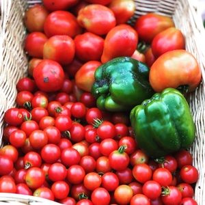 Meet your Posher, Jodie